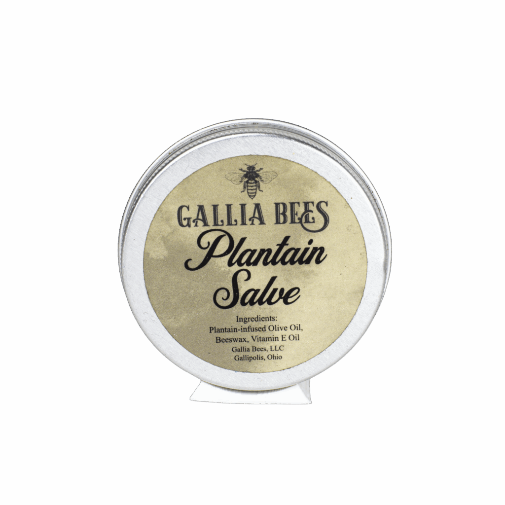 Plantain Salve